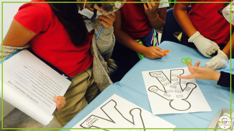 Morphology Activities for 4th & 5th Grade - Your Thrifty Co-Teacher